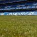 El Real Madrid acept&oacute; tener c&eacute;sped h&iacute;brido en el Santiago Bernabeu