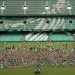 Betis y su mega proyecto internacional: academias de f&uacute;tbol a lo largo del mundo
