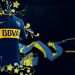 Con la camiseta de Boca entre las tres primeras, estas son las m&aacute;s lindas de la pr&oacute;xima temporada