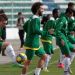 Una renuncia masiva podr&iacute;a dejar a Bolivia fuera de la Copa Am&eacute;rica Centenario