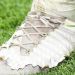 La historia de los botines destrozados que se volvieron virales en las redes sociales de todo el mundo