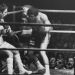 El boxeo vuelve al Luna Park; los grandes boxeadores que pelearon en ese lugar