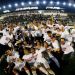 Red Bull empez&oacute; a construir un estadio para 20 mil espectadores en Brasil