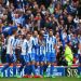 Brighton & Hove Albion, el equipo que disputar&aacute; la Premier League por primera vez en su historia