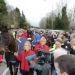 En Irlanda reciben a un caballo como un h&eacute;roe tras ganar la Gold Cup en Inglaterra