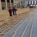 San Lorenzo construir&aacute; un patio de comidas con vista a su campo de juego