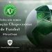 El homenaje que le hizo PES17 a Chapecoense