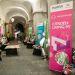 Citro&euml;n Living Art en el Mercado de Arte 2016