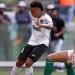 Comenz&oacute; el Brasileirao 2025: &iquest;cu&aacute;ntos clubes tienen un modelo de Sociedad An&oacute;nima Deportiva?