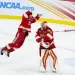 &iquest;Como ser&aacute; la serie que tendr&aacute; la NHL?