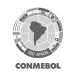 El comunicado de CONMEBOL tras la tragedia de Chapecoense; todas las actividades suspendidas