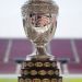 Los estadios que la AFA quiere para la Copa Am&eacute;rica 2020