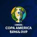 SportCom posee la licencia oficial de las pelotas de la Copa Am&eacute;rica 2019