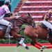 La Copa de Oro ser&aacute; organizada por la AAP en Palermo y Pilar