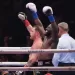 Crawford vs. Canelo: una de las peleas m&aacute;s rentables en la historia del boxeo
