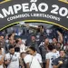 El desglose comercial de los finalistas de la CONMEBOL Libertadores