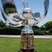 A un d&iacute;a de la gran final: el desglose comercial de la Copa Libertadores