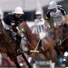 La Dolfina &ndash; Ellerstina &iquest;el cl&aacute;sico del polo argentino se traslada a China? 