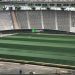 El nuevo tipo de c&eacute;sped h&iacute;brido del &Uacute;nico de La Plata y sus particulares propiedades