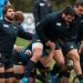 Lo que nadie ve: As&iacute; prepara la semifinal del mundo el analista de videos de Los Pumas