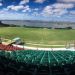 Jugadores uruguayos resolver&aacute;n si aceptan jugar en todas las canchas de cara al pr&oacute;ximo torneo