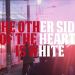 Los hinchas del Feyenoord tienen su propio documental