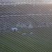 Palmeiras deber&aacute; indemnizar a un hincha del Fluminense por &ldquo;mala visi&oacute;n del campo de juego&rdquo;