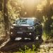 La raza fuerte de Ford se lucir&aacute; en Expoagro