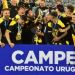 Los cambios que tendr&aacute; el F&uacute;tbol uruguayo para su pr&oacute;xima temporada