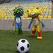 Brasil, Argentina, M&eacute;xico y Jap&oacute;n ser&aacute;n cabezas de serie en R&iacute;o 2016; As&iacute; ser&aacute; el sorteo