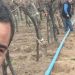 Gabbarini lleva la marca de vinos de su familia a Ecuador