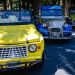 Mendoza festej&oacute; los 100 a&ntilde;os de Citro&euml;n: del 2CV al nuevo SUV C4 Cactus
