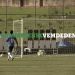 Gatorade y Palmeiras ser&aacute;n socios nutricionales