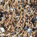 &iquest;Cu&aacute;l es la hinchada m&aacute;s importante del mundo?