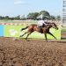 La reuni&oacute;n inaugural en el Hip&oacute;dromo de Las Flores ya tiene fecha