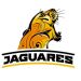 Se presentaron oficialmente a los Jaguares, la franquicia argentina del Super Rugby