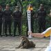 Tras la muerte de un jaguar, prohibieron a los animales en los relevos de la Antorcha Ol&iacute;mpica