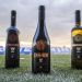 CD Legan&eacute;s: el club espa&ntilde;ol que lanz&oacute; su propia gama de vinos