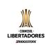 La reforma de inclusi&oacute;n de nuevos jugadores tambi&eacute;n lleg&oacute; a la CONMEBOL Libertadores 
