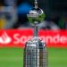 Con el nuevo reglamento de Superliga &iquest;c&oacute;mo se clasifica a la Libertadores y Sudamericana?