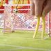 McDonald&acute;s lanz&oacute; una plataforma para saber en qu&eacute; momento del partido de f&uacute;tbol le da hambre a los hinchas