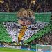 Los hinchas del Celtic prepararon una bandera homenaje para Conor McGregor 