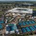 El Miami Open se jugar&aacute; con p&uacute;blico pero con fuertes recortes en los premios