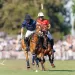 Mitos y verdades del Polo: el deporte en el que Argentina es el mejor pa&iacute;s del mundo