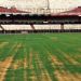 El desconcertante error que provoc&oacute; el mal estado en el campo de juego del Monumental