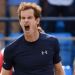 Murray podr&iacute;a no jugar el ATP World Tour Finals y perder&iacute;a 2 millones de d&oacute;lares