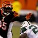 La NFL y su cambio reglamentario que promueve los festejos luego de un touchdown 