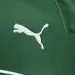 La novedosa camiseta de Palmeiras creada por Abel Ferreira
