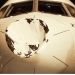 El impactante accidente del que se salv&oacute; un equipo de la NBA tras chocar en el aire