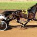 UTTA junto al Trote en el Gran Premio Interprovincial de la Milla